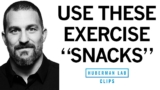 “Exercise Snacks” to Improve & Maintain Fitness | Dr. Andrew Huberman
